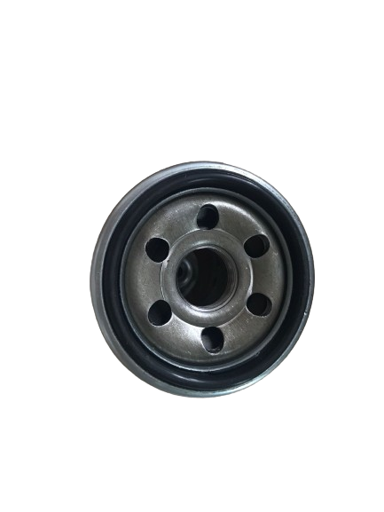 Filtro olio fo0243V / do854