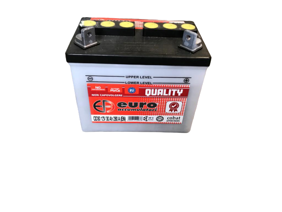 Batteria 12V/30 ah + DX