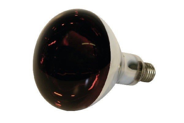 Lampade a infrarossi con vetro duro - 150 w