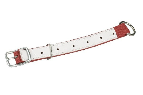 Collari per pecore 60x2,5
