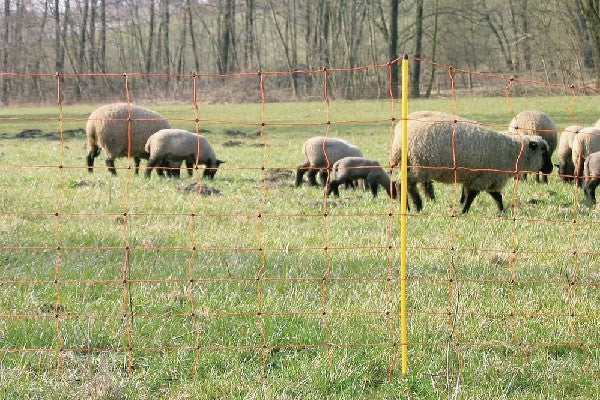 Rete per ovini elettrificabile - ovinet