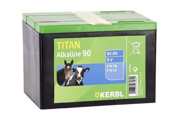 Batteria alcalina 170 Ah 442082