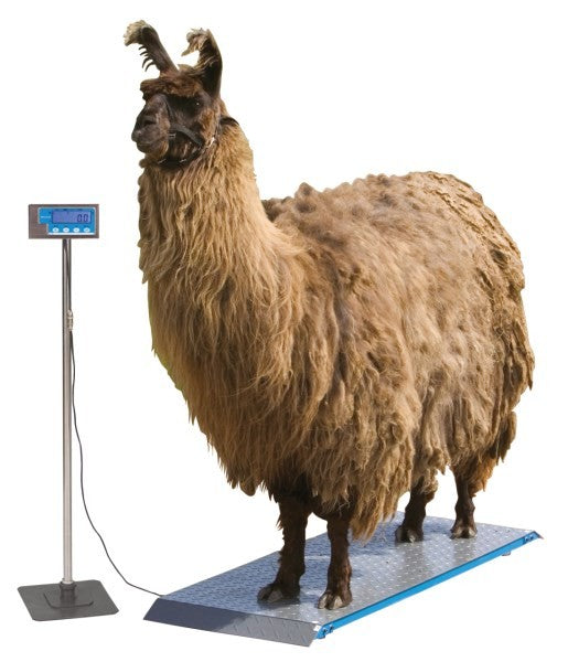 Bilancia per animali