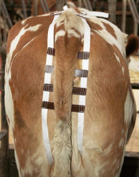 Basto per prolasso uterino