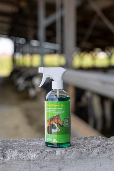 Spray guarigione lesioni