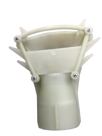 Coda bezzecchi completa - corta