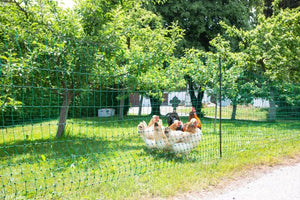 Rete pollame verde c/punta doppia alta 106 cm - Lunghezza: 50 mt