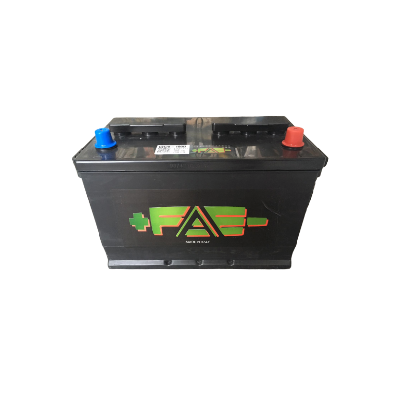 Batteria s&s 12V/75 ah + DX