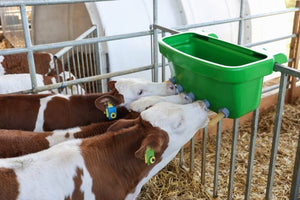 Abbeveratoio - mangiatoia multi feeder