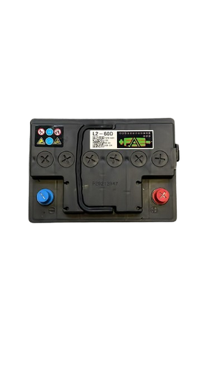 Batteria 12V/60 ah + DX - 60 AH, Polarità: SX
