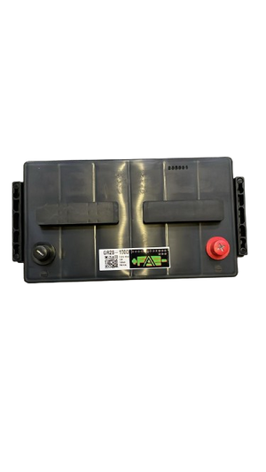 Batteria 12V/100 ah - 100 AH, Polarità: DX