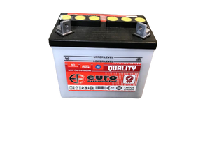 Batteria 12V/30 ah + DX