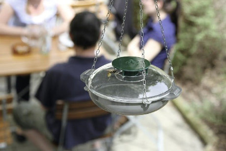 Trappola per vespe