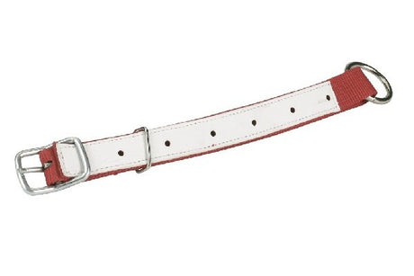 Collari per pecore 60x2,5