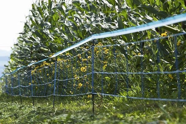 Rete di protezione da cinghiali selvatici -wildnet