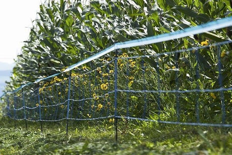 Rete di protezione da cinghiali selvatici -wildnet