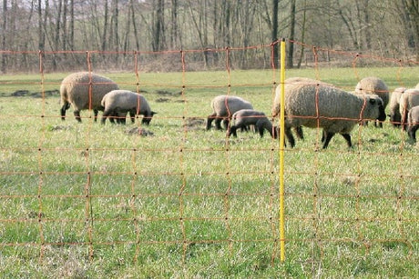 Rete per ovini elettrificabile - ovinet