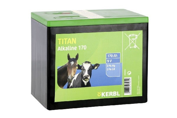 Batteria alcalina 170 Ah 442082