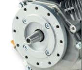 Motore g200q hp6,5 conico