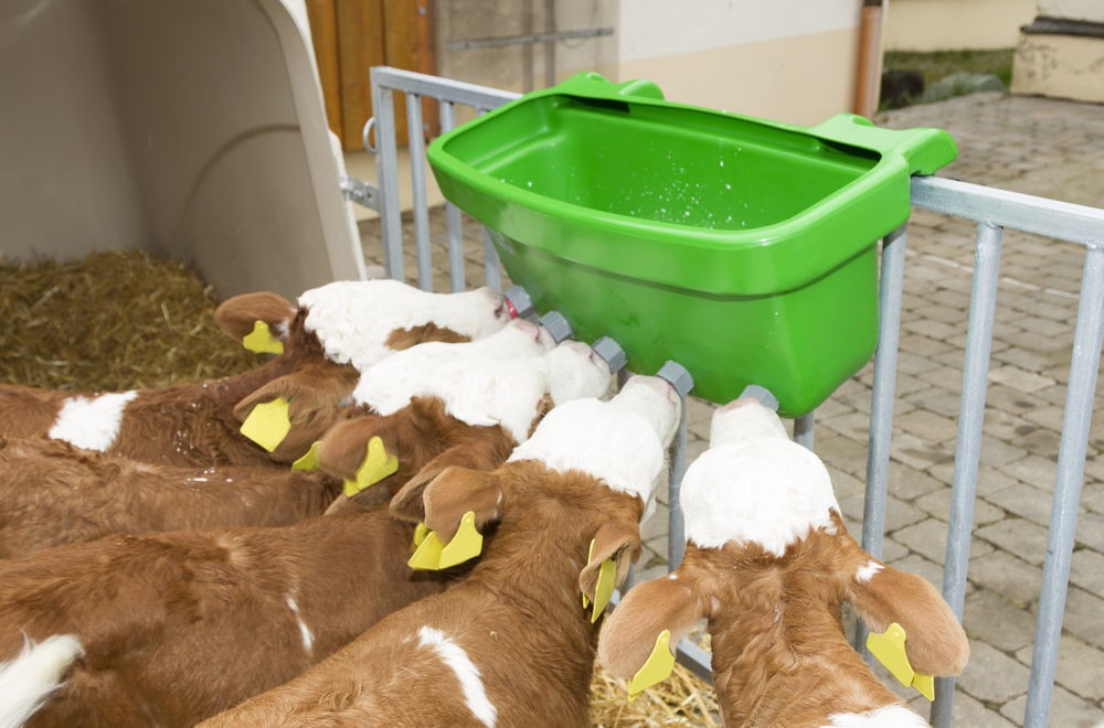 Abbeveratoio - mangiatoia multi feeder