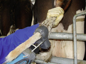Power tail trimmer