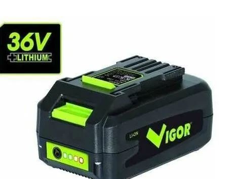 Batteria litio vigor serie vx