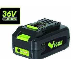 Batteria litio vigor serie vx