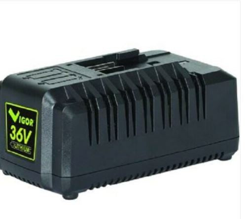 Caricabatteria vigor serie vx 36V