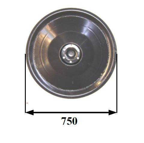 Disco folle claass 165 D.750