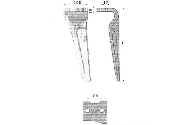 Dente lama multip - Verso: SX