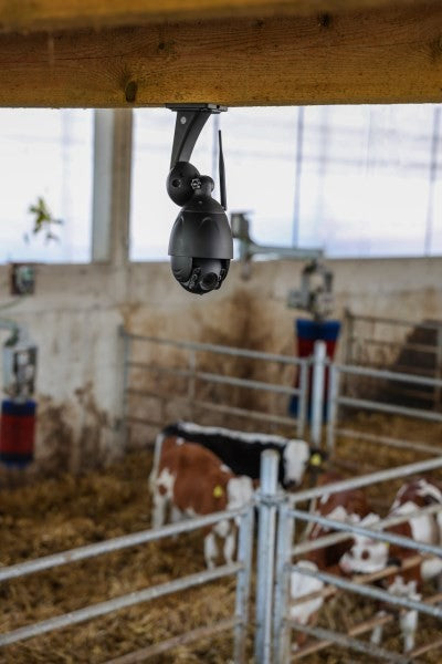 Ip cam 360° con zoom ottico