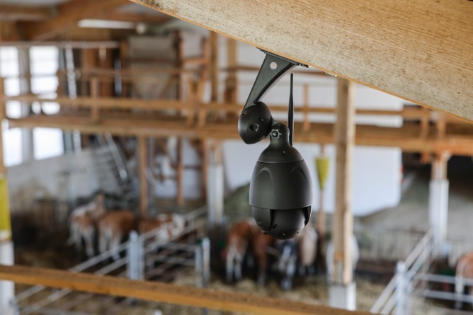 Ip cam 360° con zoom ottico