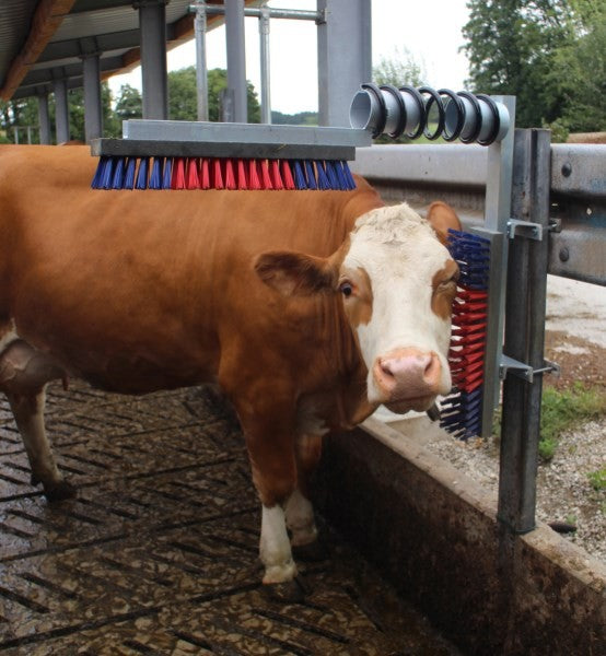 Spazzola per bovini euro-farm