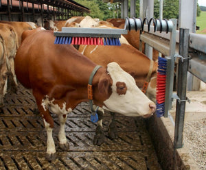 Spazzola per bovini euro-farm