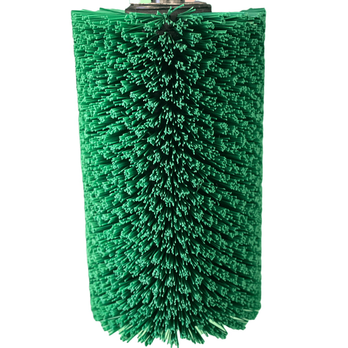 Spazzola elettrica toy