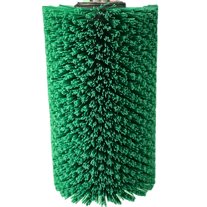 Spazzola elettrica toy